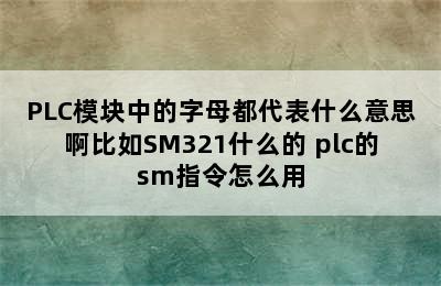 PLC模块中的字母都代表什么意思啊比如SM321什么的 plc的sm指令怎么用